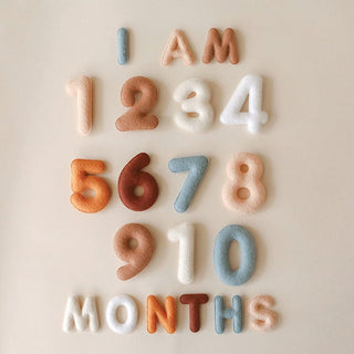 Lucy Darling Milestone Felt Numbers in Neutral | Baby Riddle
