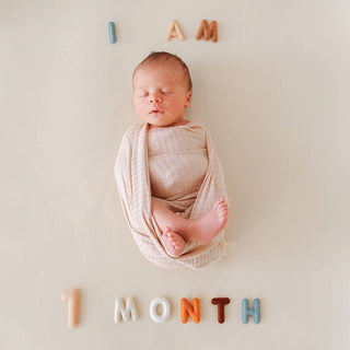 Lucy Darling Milestone Felt Numbers in Neutral | Baby Riddle