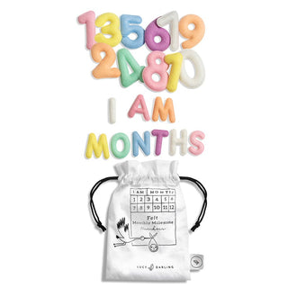 Lucy Darling Milestone Felt Numbers in Pastel | Baby Riddle