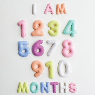 Lucy Darling Milestone Felt Numbers in Pastel | Baby Riddle