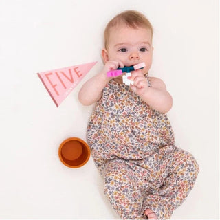 Lucy Darling Blushing Meadow Petit Milestone Pennant | Baby Riddle