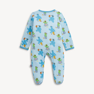 Magnetic Footie - Sesame Street Cookie & Oscar