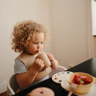 Silicone Training Cup + StrawSippy CupsMushieColor: Dinosaurs