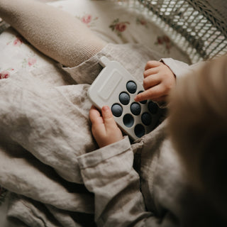 Phone Press Toy Press Toy Mushie Color: Cambridge Blue