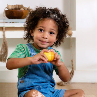 HABA USA Set of 5 Wooden Musical Eggs