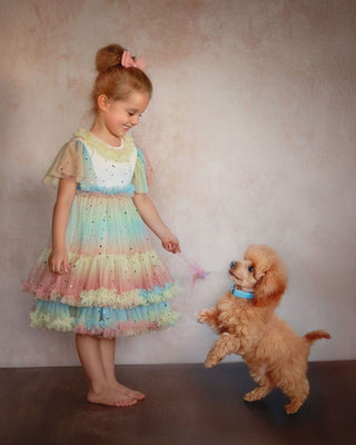 Pastel Stardust Layered Party Dress Dresses Faeella Size: 2