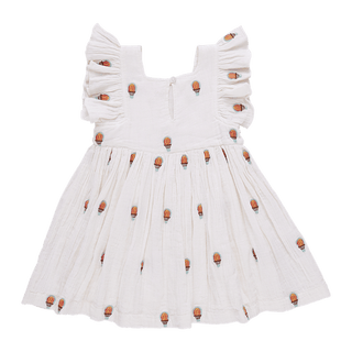 Pink Chicken Elsie Dress - Hot Air Balloons | Baby Riddle