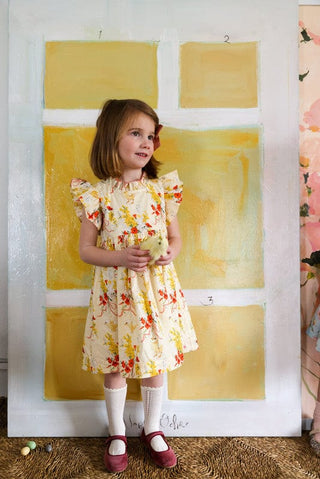 Pink Chicken Jennifer Dress - Yellow Chicks | Baby Riddle