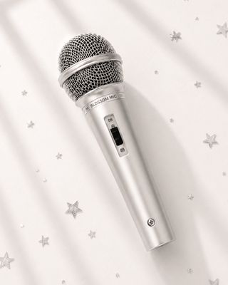 Silver Pop Star Microphone