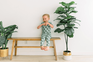 Bamboo Short Sleeve Pajama Set - Spring Sky Chameleon Pajama Sets KicKee Pants Size: 3T