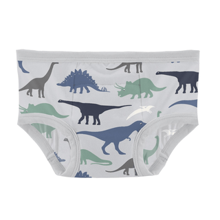 Bamboo Training Pants - Dove Dino Museum KicKee Pants Size: 2T-3T