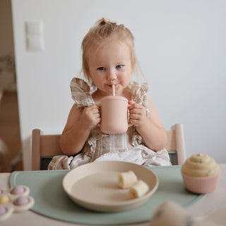 Silicone Training Cup + StrawSippy CupsMushieColor: Dinosaurs