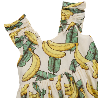 Cotton Via Dress - Banana Leaves Pink Chicken Size: 2T