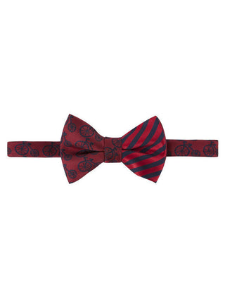 Andy and Evan Boys Bow Tie - Bicycle and Stripe